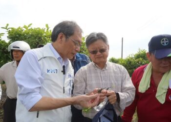 ▲蘇清泉多次邀集官員及相關單位專家，實地勘查荔枝果園，確認災情。（圖／蘇清泉團隊提供）