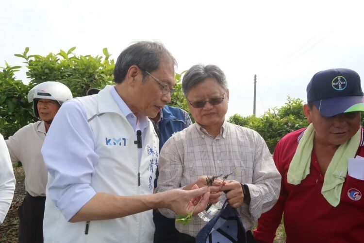 ▲蘇清泉多次邀集官員及相關單位專家，實地勘查荔枝果園，確認災情。（圖／蘇清泉團隊提供）