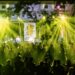 ▲「野趣東高雄 Chill in the Wild」音樂市集，活動將在12月6日午後三點於杉林區「日光小林社區」登場。（圖／高雄市觀光局提供）