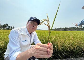 ▲ 近日連續豪雨重創屏東農業，造成縣內農作物大面積受損，屏東縣政府統計農業災害損失已突破4,000萬元，立委蘇清泉表示，政府應立即檢討補助標準，真正減輕農民負擔。（圖／蘇清泉辦公室提供）