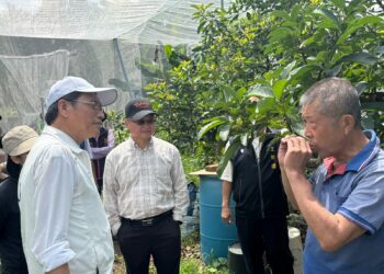 ▲立委蘇清泉接獲酪梨農陳情，帶領團隊實地會勘，並與農業專家及地方政府協商對策。（圖／蘇清泉辦公室提供）