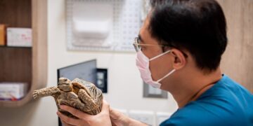 ▲隨著寵物逐漸成為現代家庭的重要成員，台灣的寵物產業正迎來新的轉型階段。而政府推動異寵管理新制之際，相關醫療資源是否同步到位，成為各界關注焦點。（圖／高雄大學社會網絡創新中心提供）