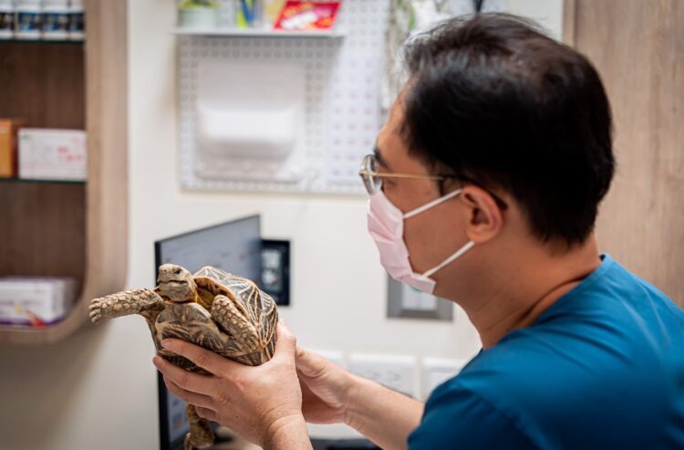 ▲隨著寵物逐漸成為現代家庭的重要成員,台灣的寵物產業正迎來新的轉型階段。而政府推動異寵管理新制之際,相關醫療資源是否同步到位,成為各界關注焦點。(圖/高雄大學社會網絡創新中心提供)