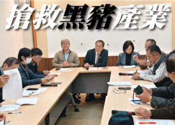 ▲立法委員蘇清泉在立法院召開協調會，邀集農業部相關單位與黑豬產業代表面對面溝通，討論禁用廚餘後的配套措施。（圖／蘇清泉辦公室提供）