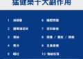▲和捷關鍵資訊（iNiN）針對近期網路論壇、社群平台與討論區進行的大數據爬蟲分析顯示，網友熱議的「猛健樂副作用前10名」。（圖／和捷關鍵資訊提供）